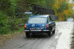 2025_Autumn_Leaves_-428