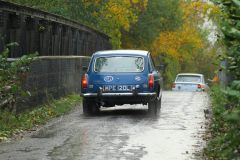 2025_Autumn_Leaves_-429