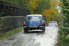 2025_Autumn_Leaves_-430