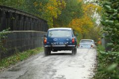 2025_Autumn_Leaves_-431