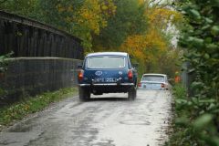 2025_Autumn_Leaves_-432