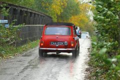 2025_Autumn_Leaves_-433