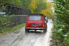 2025_Autumn_Leaves_-434