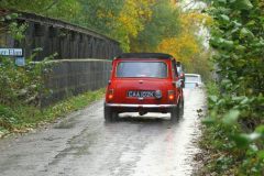 2025_Autumn_Leaves_-435