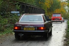 2025_Autumn_Leaves_-436