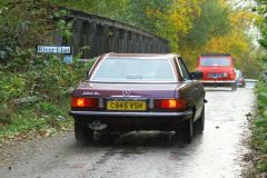 2025_Autumn_Leaves_-437