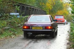 2025_Autumn_Leaves_-438