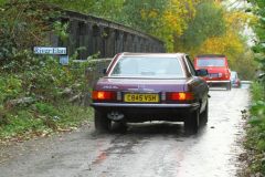 2025_Autumn_Leaves_-439