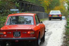 2025_Autumn_Leaves_-440