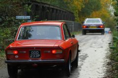 2025_Autumn_Leaves_-441