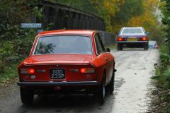 2025_Autumn_Leaves_-442