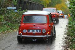 2025_Autumn_Leaves_-445