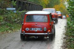 2025_Autumn_Leaves_-446