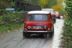 2025_Autumn_Leaves_-447