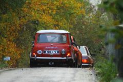 2025_Autumn_Leaves_-448