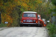 2025_Autumn_Leaves_-449