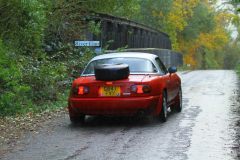 2025_Autumn_Leaves_-450