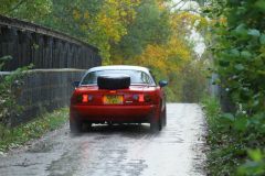 2025_Autumn_Leaves_-452