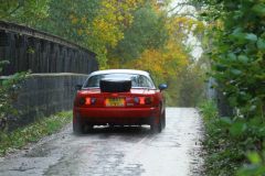 2025_Autumn_Leaves_-453