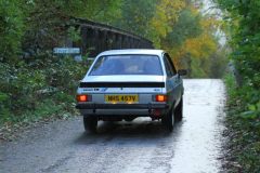 2025_Autumn_Leaves_-456