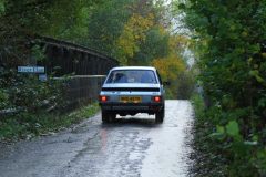 2025_Autumn_Leaves_-457