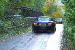 2025_Autumn_Leaves_-469