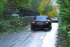 2025_Autumn_Leaves_-470