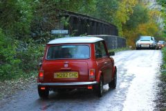 2025_Autumn_Leaves_-482