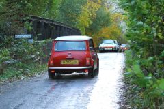 2025_Autumn_Leaves_-484