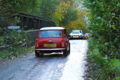 2025_Autumn_Leaves_-485