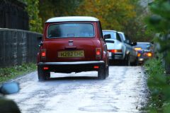 2025_Autumn_Leaves_-486