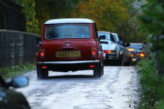 2025_Autumn_Leaves_-487