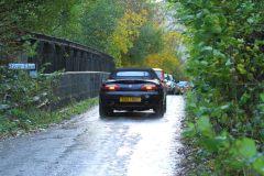 2025_Autumn_Leaves_-488