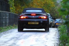 2025_Autumn_Leaves_-489