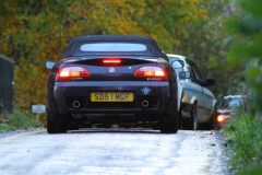 2025_Autumn_Leaves_-490