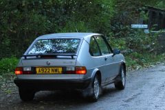 2025_Autumn_Leaves_-491