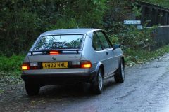 2025_Autumn_Leaves_-492