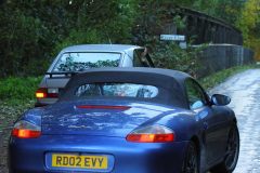 2025_Autumn_Leaves_-493