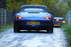 2025_Autumn_Leaves_-495