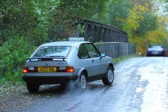 2025_Autumn_Leaves_-496