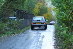 2025_Autumn_Leaves_-498