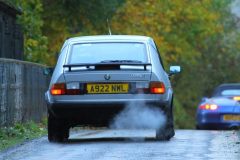 2025_Autumn_Leaves_-499