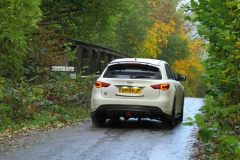 2025_Autumn_Leaves_-500