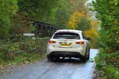 2025_Autumn_Leaves_-501