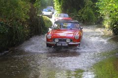 IMG_9501
